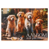 Альбом для рисования А4, 20 листов, на скрепке, "Ассорти" Выпуск №4, обложка офсетная бумага, блок 100 г/м2, МИКС