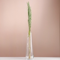 Набор сухоцветов "Райграс", банч 21 шт, длина 60 (+/- 6 см), зелёный