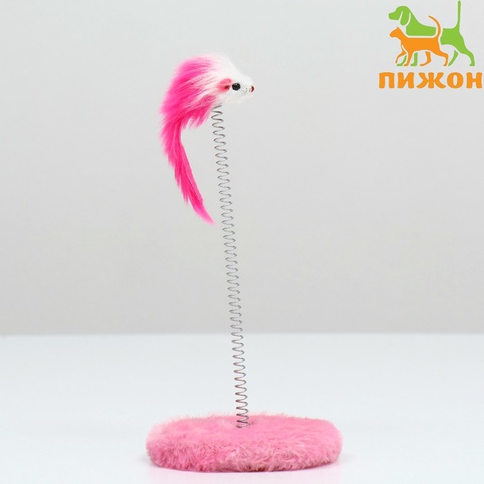 Дразнилка для кошек на пружине с мышью (5 см), 10,5 х 23 см, розовая Дразнилка для кошек на пружине с мышью (5 см), 10,5 х 23 см, розовая