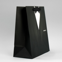 Пакет подарочный ламинированный вертикальный, упаковка, &laquo;Стиль&raquo;, ML 23 х 27 х 11,5 см