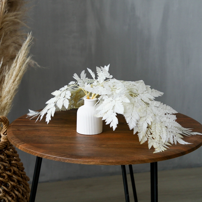 Сухоцвет «Папоротник», белый, 10 шт. в упаковке Сухоцвет «Папоротник», белый, 10 шт. в упаковке