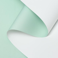 Пленка матовая 0.58 х 10 м Пленка матовая 0.58 х 10 м