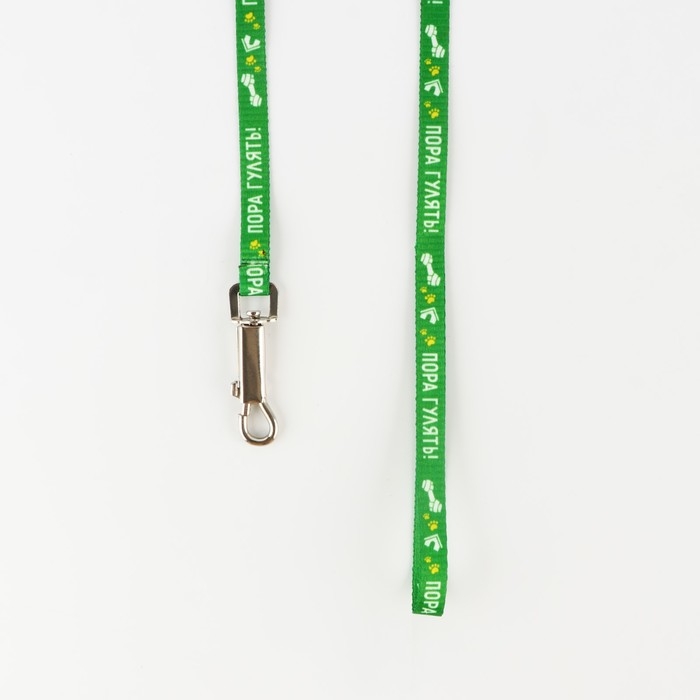 Комплект &laquo;Пора гулять&raquo;, шлейка 24-34 см, поводок 120х1 см