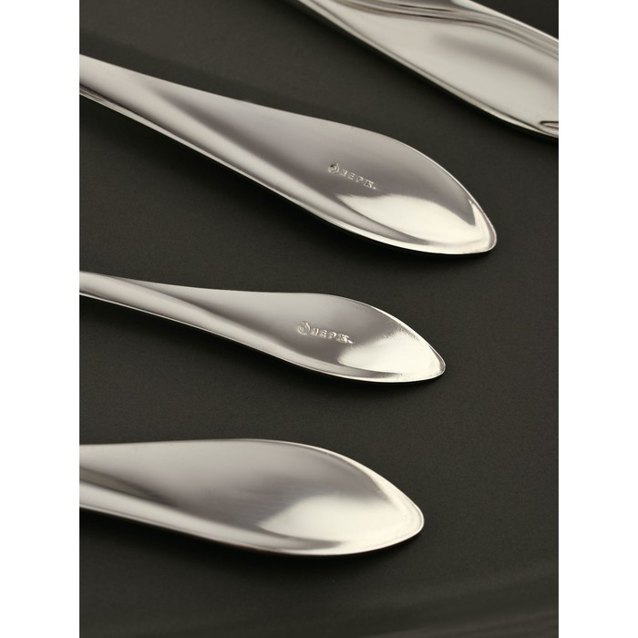 Набор столовых приборов «Волна», 24 предмета, картонная коробка с окном, цвет серебряный Набор столовых приборов «Волна», 24 предмета, картонная коробка с окном, цвет серебряный