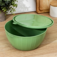 Салатник с крышкой «Fiesta», 2,8 л, цвет МИКС Салатник с крышкой «Fiesta», 2,8 л, цвет МИКС