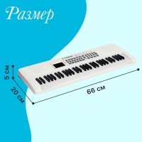 Синтезатор детский «Клавишник», звуковые эффекты, 61 клавиша Синтезатор детский «Клавишник», звуковые эффекты, 61 клавиша