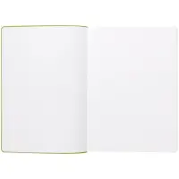 Ежедневник Flexpen, недатированный, серебристо-зеленый