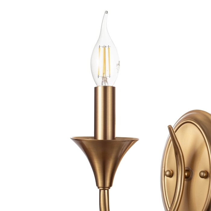Бра "Тронг" 1х40Вт Е14 латунь 23х11х19,5 см