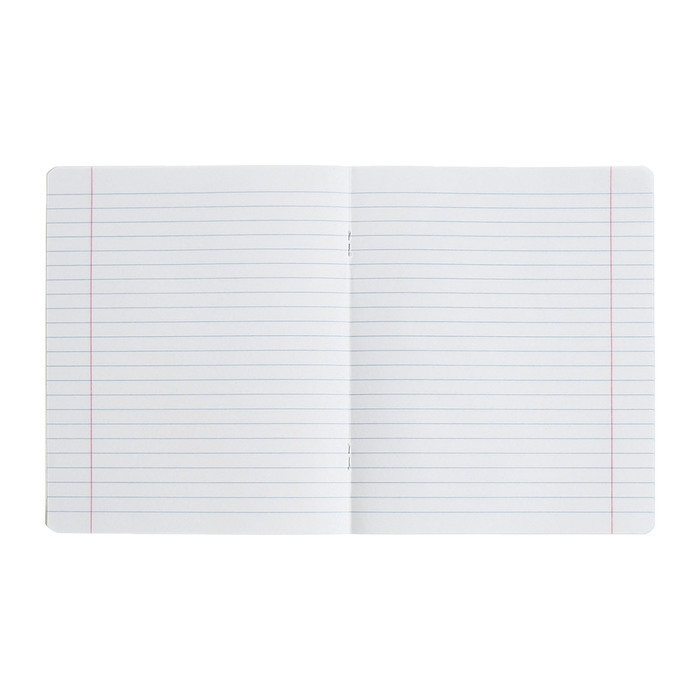 Комплект тетрадей из 10 штук, 18 листов в линию Calligrata Комплект тетрадей из 10 штук, 18 листов в линию Calligrata "Однотонная Классика точку. Эконом", обложка мелованный картон, ВД-лак, блок №2, белизна 75% (серые листы), 5 видов по 2 штуки