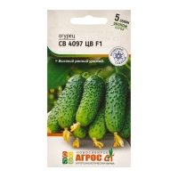 Семена Огурец"СВ 4097 ЦВ"F1 5шт* ЭКОНОМ