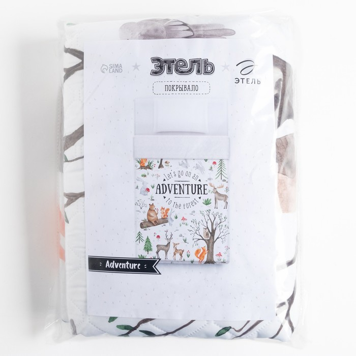 Покрывало детское Этель 2 сп "Adventure", 180х220 см, микрофибра