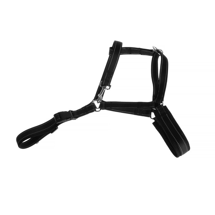 Недоуздок для лошади, регулируемый, черный Недоуздок для лошади, регулируемый, черный