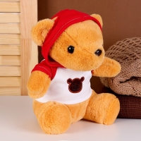 Мягкая игрушка &laquo;Мишка&raquo; в кофте, 23 см, цвет МИКС