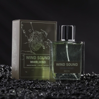 Туалетная вода мужская "Звук Ветра", "Смерч", 100 мл Туалетная вода мужская "Звук Ветра", "Смерч", 100 мл