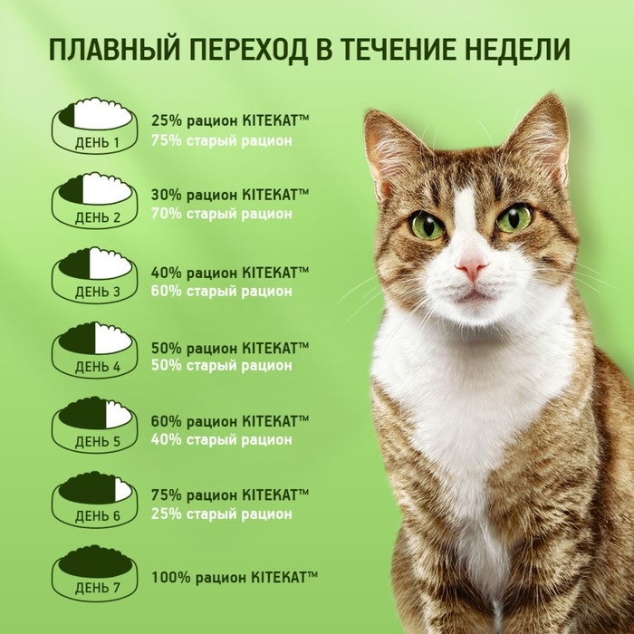 Сухой корм KiteKat Сухой корм KiteKat "Мясной пир" для кошек, 15 кг