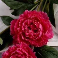 Цветы искусственные "Пион Беверли люкс" 60 см, ярко-розовый