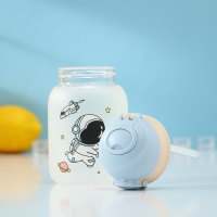 Бутылка для воды стеклянная &laquo;Космонавты&raquo;, 450 мл, 8,2&times;15 см, цвет МИКС, матовое стекло