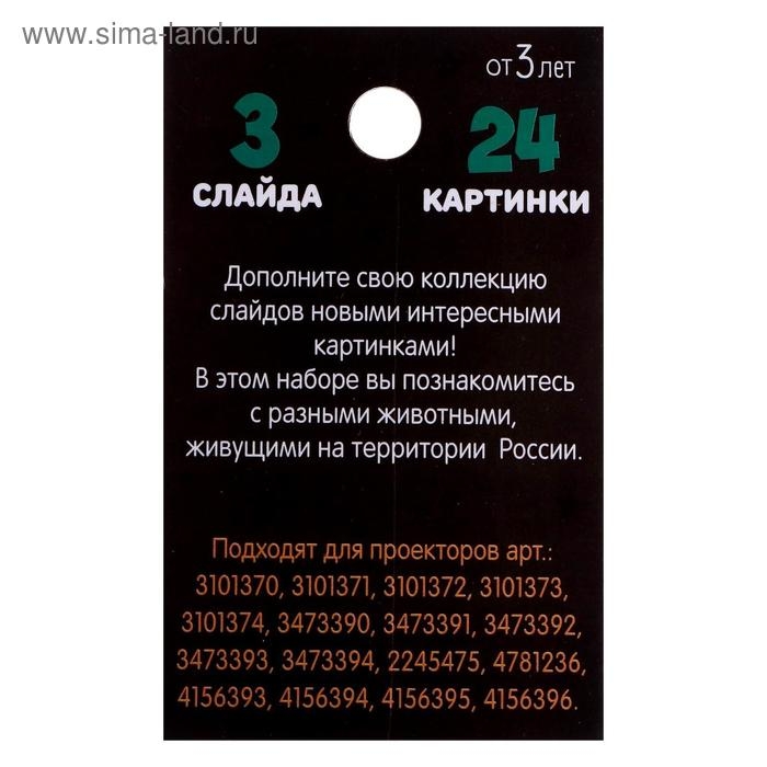 Слайды для проектора &laquo;Животные России&raquo;, набор, 3 слайда, 24 картинки