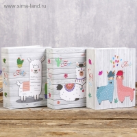 Фотоальбом на 100 фото 10х15 см "Лама" МИКС 16х12,5х5,5 см