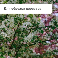 Сучкорез профессиональный, 26.4&minus;37" (67.5&minus;94 см), телескопический, с пластиковыми ручками, МИКС, Greengo
