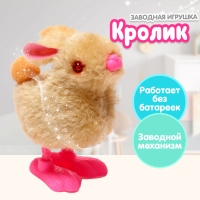 Игрушка заводная «Кролик», цвета МИКС Игрушка заводная «Кролик», цвета МИКС