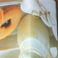 Клеёнка на стол на нетканой основе Доляна «Кофе», ширина 140 см, рулон 20 м Клеёнка на стол на нетканой основе Доляна «Кофе», ширина 140 см, рулон 20 м