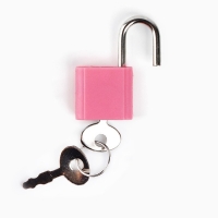 Записная книжка на замочке &laquo;Лучшей из принцесс&raquo;, 50 листов, 14,8 х 10,5 см.