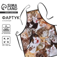 Фартук кухонный &laquo;Коты&raquo;, полноцветный