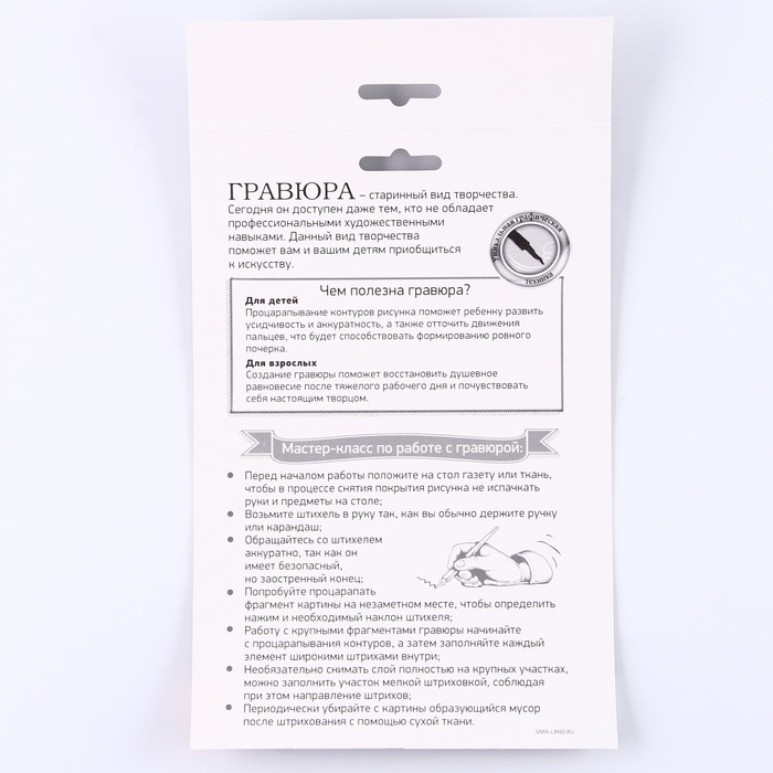 Гравюра &laquo;Лошадь&raquo; с металлическим эффектом серебра А5