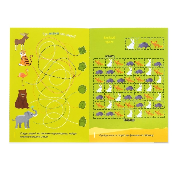 Набор многоразовых книг с маркером &laquo;Напиши и сотри. Лабиринты и путаницы&raquo;, 2 шт. по 12 стр.