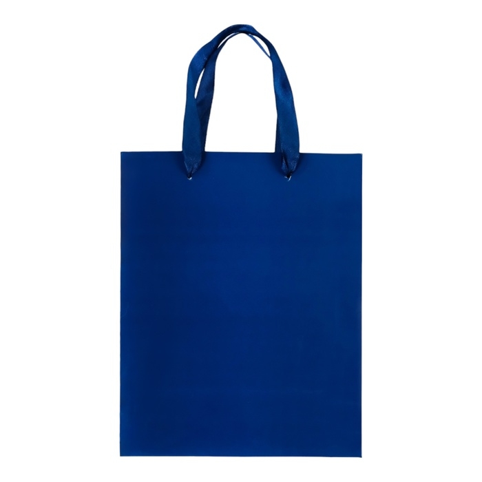 Пакет ламинированный &laquo;Синий&raquo;, 18 х 23 х 10 см