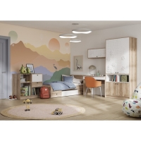 Шкаф двухстворчатый Киви, 934х500х2038, Белый/Дуб делано