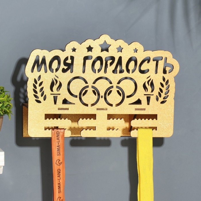 Медальницы с полкой Медальницы с полкой "Мои гордость" светлое дерево, 19х29 см