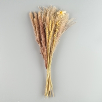 Сухоцветы &laquo;Нежность&raquo;, набор из 4 видов, 48 &times; 16 &times; 6 см