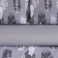 Постельное бельё Этель 2 сп &laquo;Перья&raquo; (вид 2) 175х215 см, 200х220 см, 70х70 см -2 шт,поплин 125 г/м2