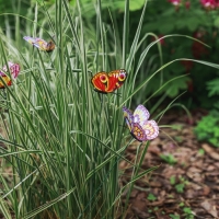 Штекер "Бабочка Атрис" 7х7см/30см, набор 30шт, МИКС Штекер "Бабочка Атрис" 7х7см/30см, набор 30шт, МИКС