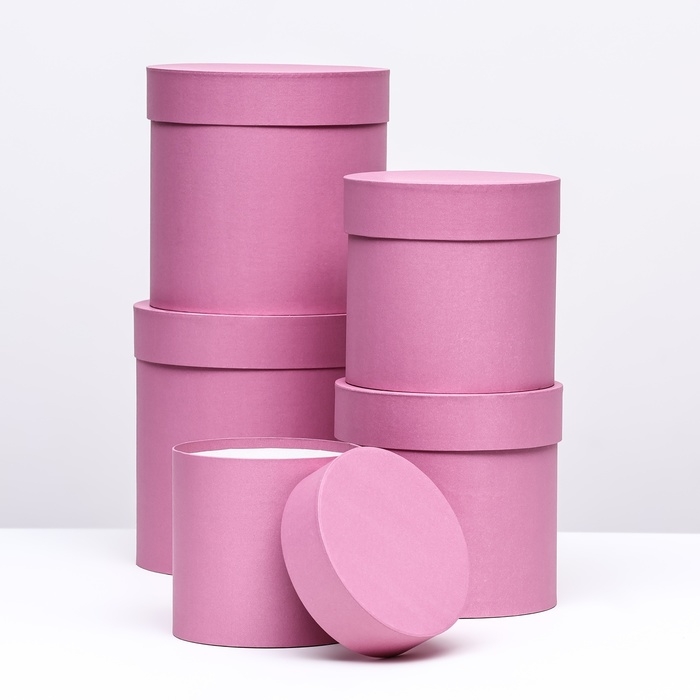 Набор шляпных коробок 5в1, розовый, 20 х 20 - 13 х 13 см Набор шляпных коробок 5в1, розовый, 20 х 20 - 13 х 13 см
