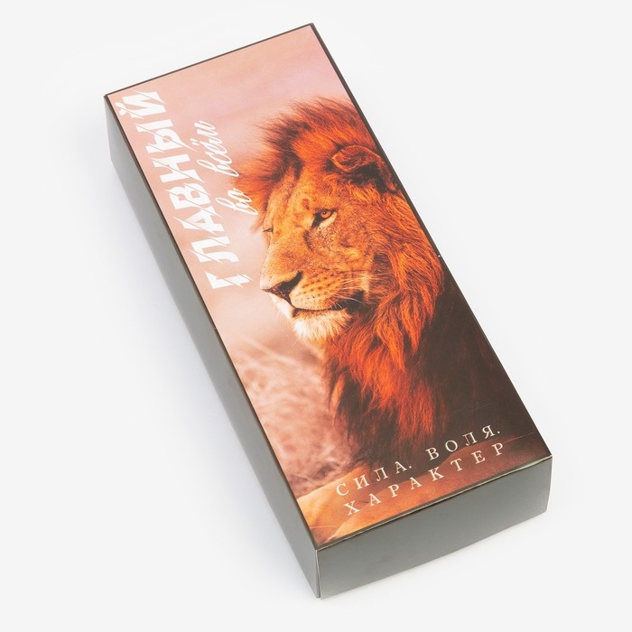 Набор мужских носков KAFTAN Набор мужских носков KAFTAN "Главный" 5 пар, размер 41-44 (27-29 см)