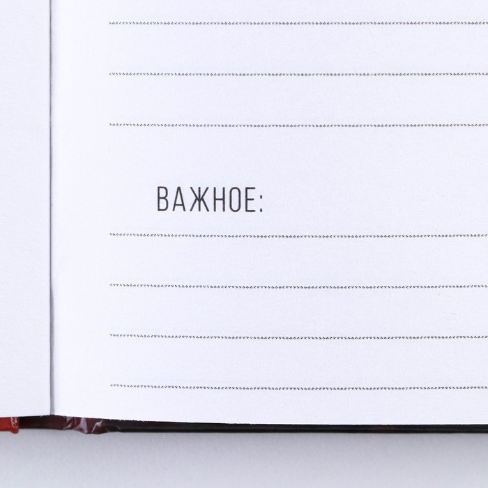 Ежедневник &laquo;Настоящий&raquo; А5, 80 листов