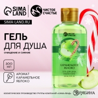 Новый Год. Гель для душа, очищение и сияние, 300 мл, аромат карамельного яблока Новый Год. Гель для душа, очищение и сияние, 300 мл, аромат карамельного яблока