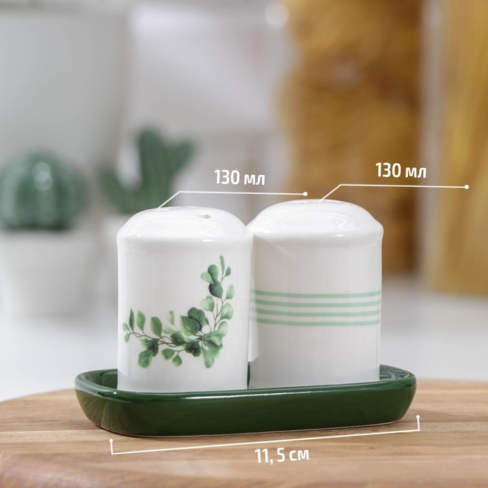 Набор для специй Доляна &laquo;Эвкалипт&raquo;, 2 предмета: солонка 130 мл, перечница 130 мл