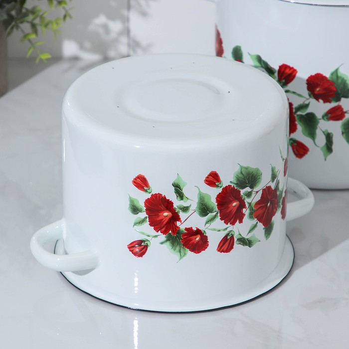 Набор эмалированных кастрюль &laquo;Рамо&raquo;, 2 предмета: 3,5 л, 5,5 л