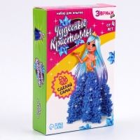 Набор для опытов &laquo;Чудесные кристаллы&raquo;, принцесса