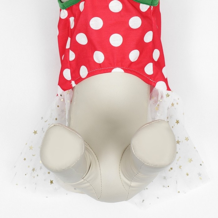 Костюм для животных Костюм для животных "Фея", размер XS (ДС 22, ОГ 32, ОШ 21 см), красно-белый