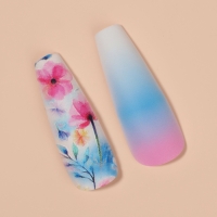 Ногти накладные с кл пластинами 12шт Море балерина голуб/роз/бел к/кор QF Ногти накладные с кл пластинами 12шт Море балерина голуб/роз/бел к/кор QF