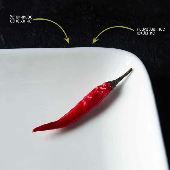 Блюдо фарфоровое прямоугольное Доляна White Label, 24,5&times;15,5 см, цвет белый