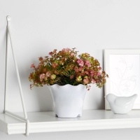 Бонсай в горшке "Фрезия" 11х16 см, микс Бонсай в горшке "Фрезия" 11х16 см, микс