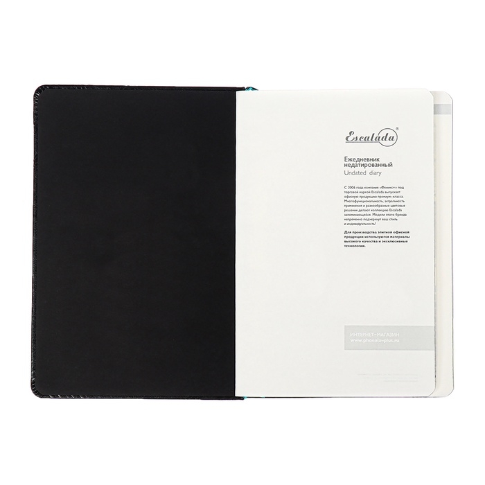 Ежедневник недатированный ESCALADA А5, 160 листов, твердая обложка, искуственная кожа, блок, тиснение, блок 70г/м2, чёрный
