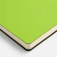 Ежедневник Flex Shall New, недатированный, светло-зеленый