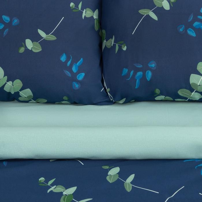 Постельное бельё Этель 1.5 сп &laquo;Эвкалипт&raquo; (вид 2) 143х215 см,150х214 см, 70х70 см 2 шт,поплин 125 г/м2